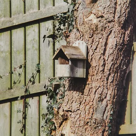 Casa de Férias Corby House *